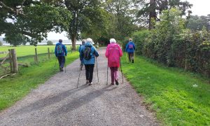 Ripple Walk | Powderham Lodge Loop | Tuesday 7th October | 10.30 - 11.30 am